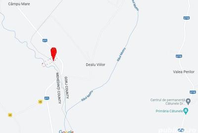 Teren de 4528 mp, în Câmpu Mare - 1