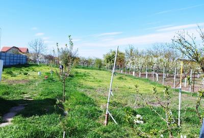 Casă cu 4 camere cu Canalizare în Macea