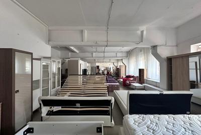 Spațiu industrial, în Primăverii - 8