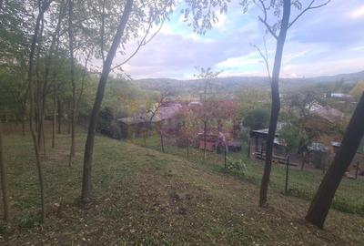 Casă cu 3 camere în Central - 13