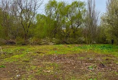 Teren Construcții intravilan de 1000 mp, în Iancu Nicolae - 3