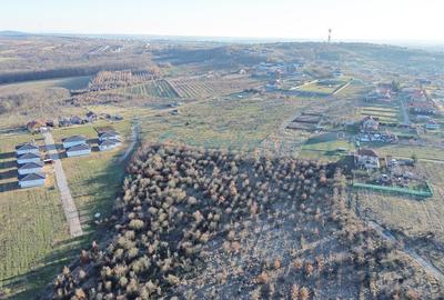 Teren Construcții intravilan de 757 mp, în Paleu - 2