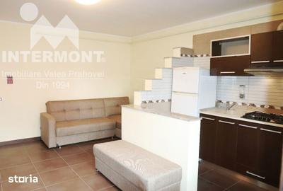 Apartament cu 2 camere în Poiana Țapului - 13