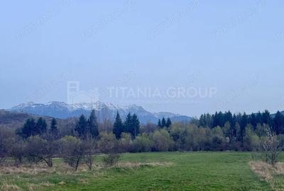Teren de 7838 mp, în Zărnești - 3