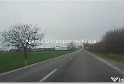 Teren de 25000 mp, în Agigea - 4