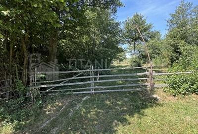 Platou montan, 6631 mp intravilan, electricitate,  langa pădure - 5