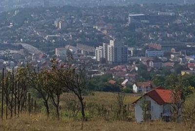 Vand teren dambu rotund 900 sau 1500 mp - 4