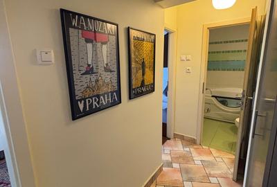 3camere Teiul Doamnei - Soseaua Colentina , - 12