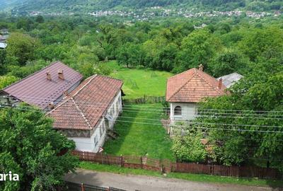 Casă cu 5 camere cu Teren 3600 Mp în Vulturești - 10