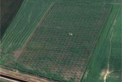 Teren de 49178 mp, în Slobozia Conachi - 10