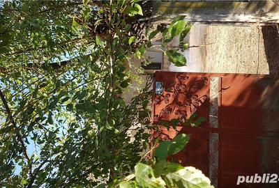 Casă cu 5 camere cu Teren 870 Mp în Bistrețu - 7