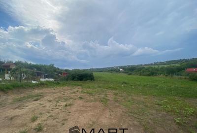 Teren de 8000 mp, în Daia - 5