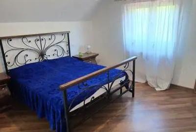 Casă cu Teren 2500 Mp în Mărgineni - 12