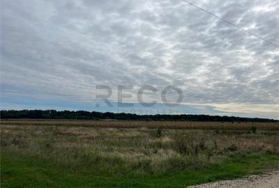 RECO Teren intravilan zona BEVERLY HILLS - 2