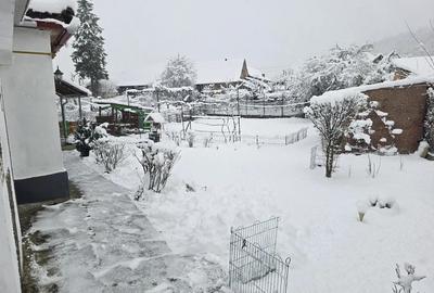 Casa de vanzarea - 1