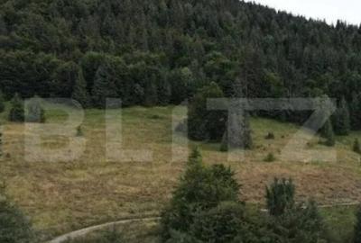 Teren Intravilan 4000 mp, Valea Draganului, - 3