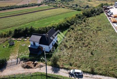 Teren Intravilan - Viisoara - 6