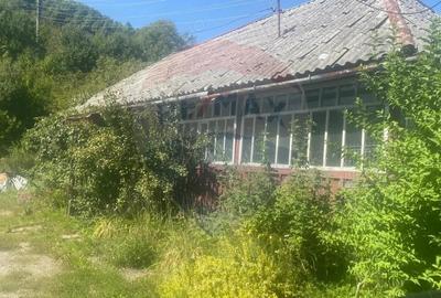 Teren de vanzare Baia Mare / Strada Firiza - 3