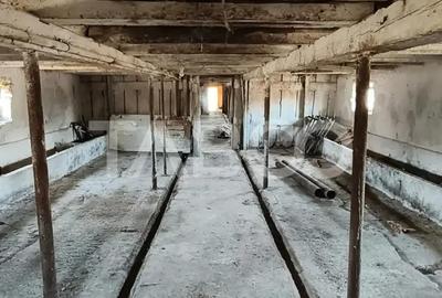 Casă cu 3 camere cu Teren 5039 Mp în Pianu - 9