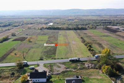 TEREN INTRAVILAN EXTRAVILAN | AUSEU - 5