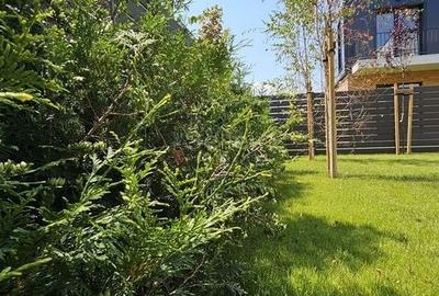 Casa Noua Ghimbav model Sigma Predare Decembrie 2026 - 8