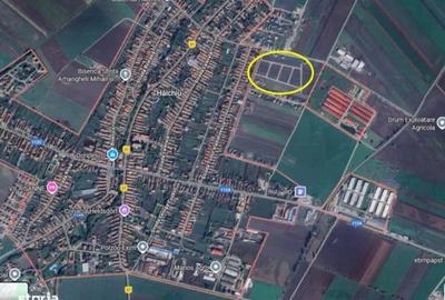 Parcele de teren Halchiu, Puz Parcele de teren Halchiu, Puz - 5