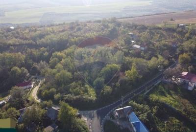 Casă cu mult teren,  sat Șerbănești, com. Corbița, jud. Vrancea - 6