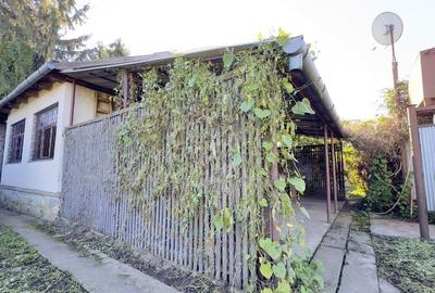 Casa de vinificatie 2 camere cu Teren 1389 mp - Gradina Viilor ,,Nyulhat,,-Carei Casa de vinificatie 2 camere cu Teren 1389 mp - Gradina Viilor ,,Nyulhat,,-Carei - 6