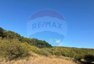 Teren cu parau | 50,000 mp | zona Caianu-Vama | la lizi... - 14