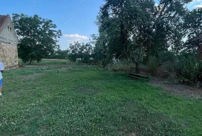 Teren de 2624 mp, în Sacoșu Turcesc - 2