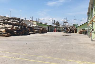 Spațiu comercial, de 3,300 mp, în Măgurele - 7