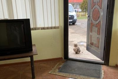 Spațiu comercial, de 175 mp, în Central - 4