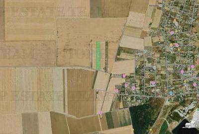 Teren de 5000 mp, în Vadu - 4