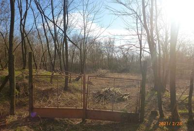 Teren de 1771 mp, în Exterior Vest - 6