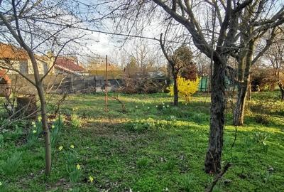 Casă cu 5 camere cu Teren 1000 Mp în Central - 3