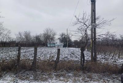 Casă cu 2 camere în Cozmești - 7