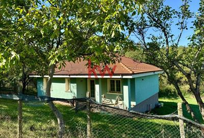 Casa noua Demisol+Parter 165 MP + Teren 2000 MP - Ciurea - 11
