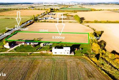 Teren de 8000 mp, în Botiz - 7