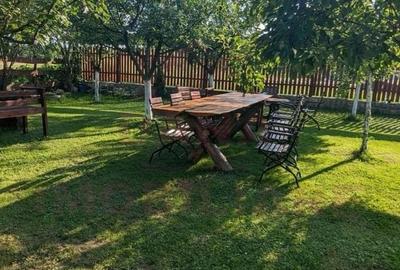 RESTAURANT DE VÂNZARE-COM. OBREJA\SAT IAZ\CARAȘ SEVERIN - 10