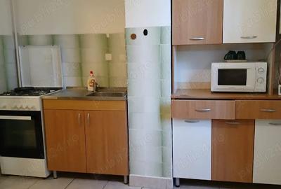 Garsonieră decomandată în Dâmbu Pietros - 3