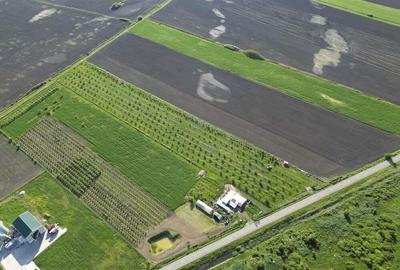 Livada de nuci ?i pruni 2.4ha in Varia?ul Mare - 20