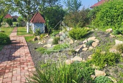 Casa spatioasa, teren generos, Giarmata - 20