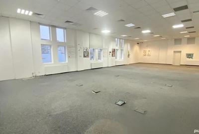 Spațiu comercial, de 700 mp, în Gorjului - 5