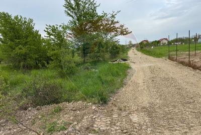 Teren Construcții intravilan de 960 mp, în Ciolpani - 2