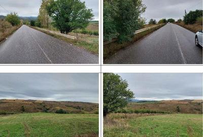 Teren extravilan pasune Ardeoani, ID: R2404618 - 5