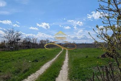 Spațiu comercial, în Șerbănești - 6