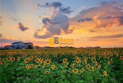 OTOPENI, DRUMUL ODAII, ION CREANGA, TEREN 14.926 MP INTRAVILAN OTOPENI, DRUMUL ODAII, ION CREANGA, TEREN 14.926 MP INTRAVILAN - 8