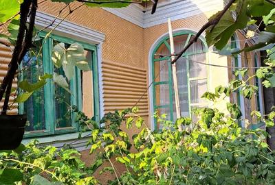 Casă cu 4 camere cu Teren 2500 Mp în Nicolae Bălcescu - 5