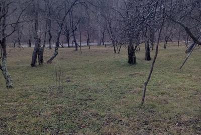 Teren de 2000 mp, în Ocina de Sus