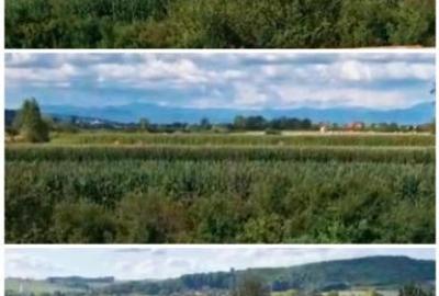 Casă individuală cu 6 camere cu Garaj în Sălsig - 7